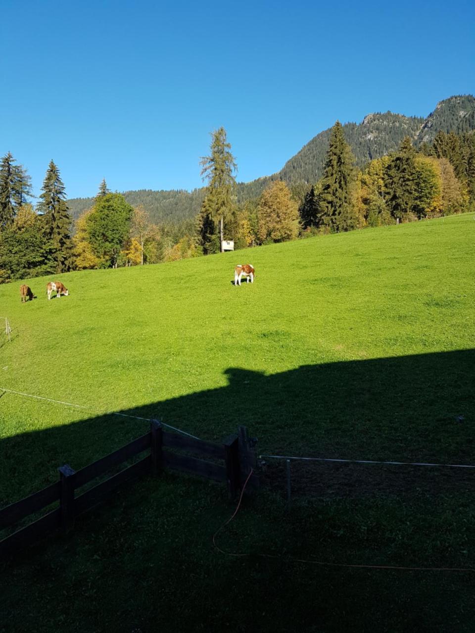 Hanslerfeld Alpbach Exterior foto